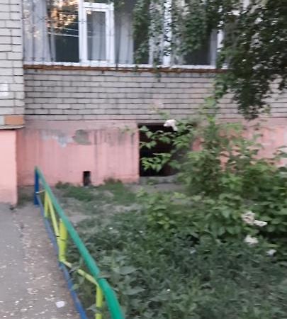Cosy flat Apartment Семей Екстериор снимка